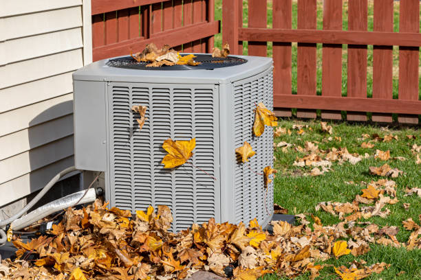 Best HVAC Tune-Up Services  in Mount Hermon, VA